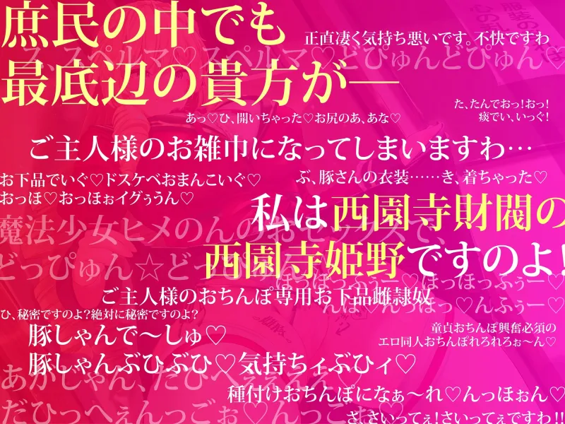 催眠魔法lesson2 高飛車令嬢 西園寺姫野 お下劣ド下品調教(洗脳、オホ声)