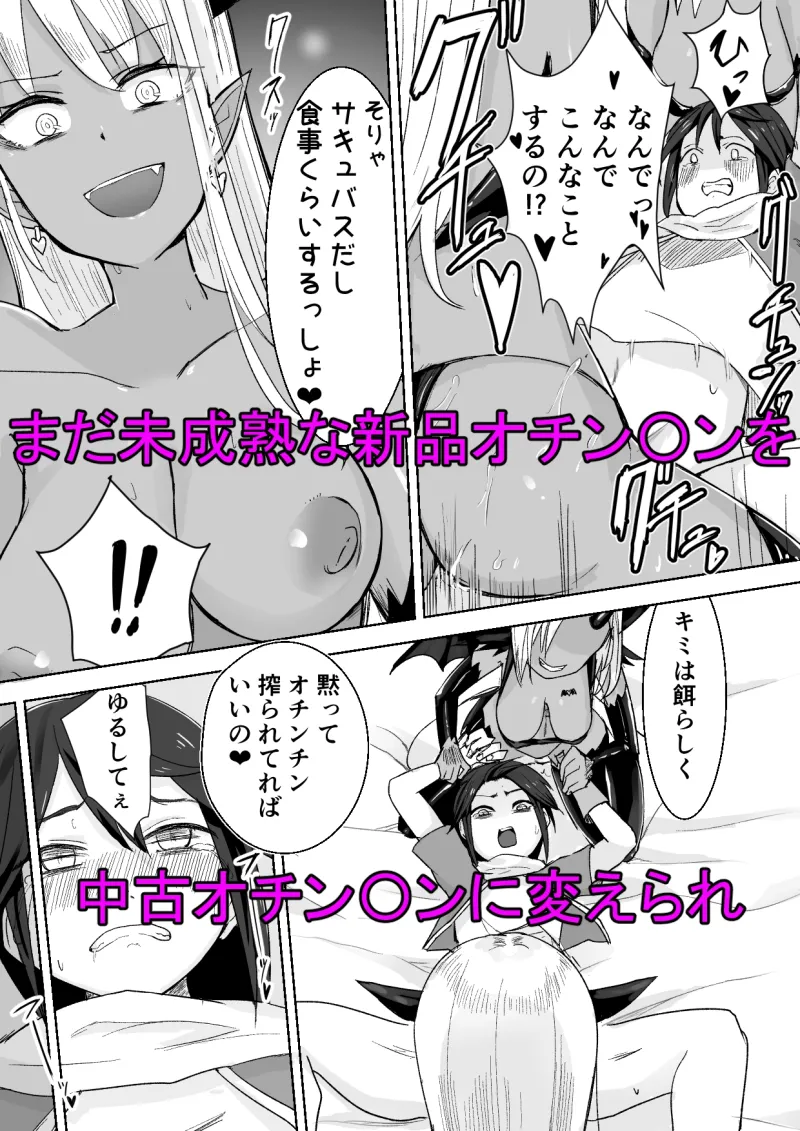 サキュバスに敗北してちっちゃな貞操帯を付けられちゃうお話