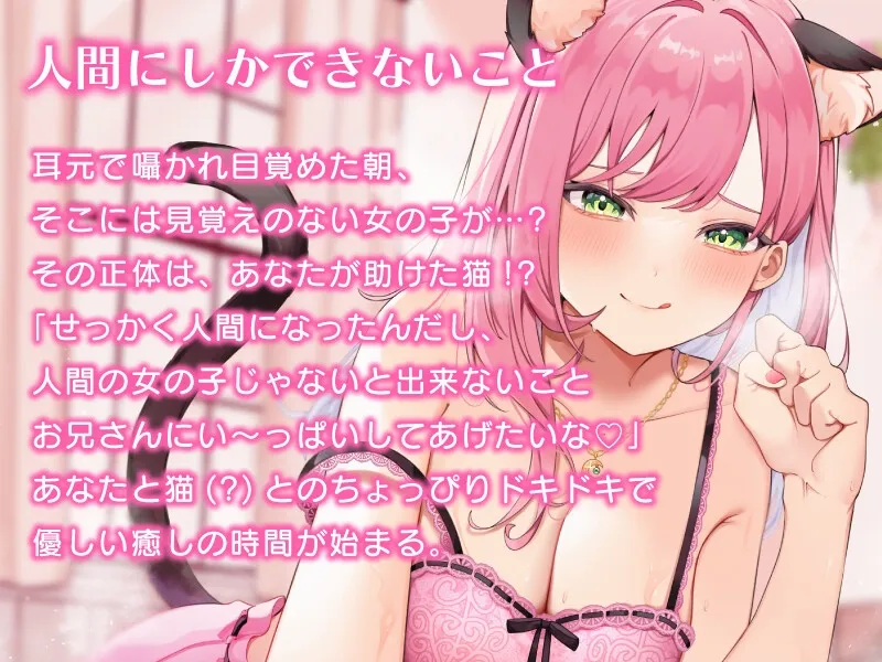 拾った猫にいっぱい癒されて、味見される…?【CV:桜樹みりあ】