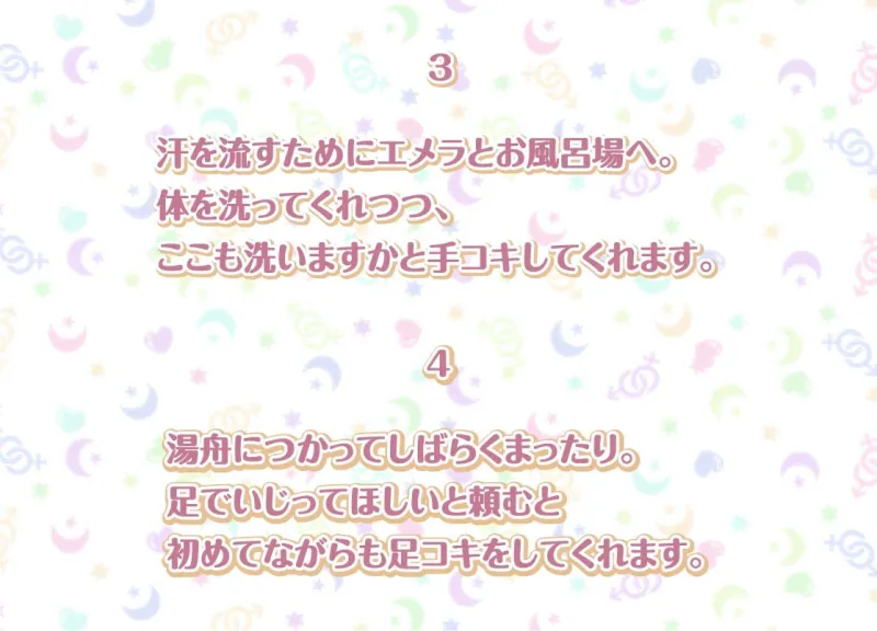 エメラとの性活～クールメイドと密着いちゃらぶえっち～【フォーリーサウンド】