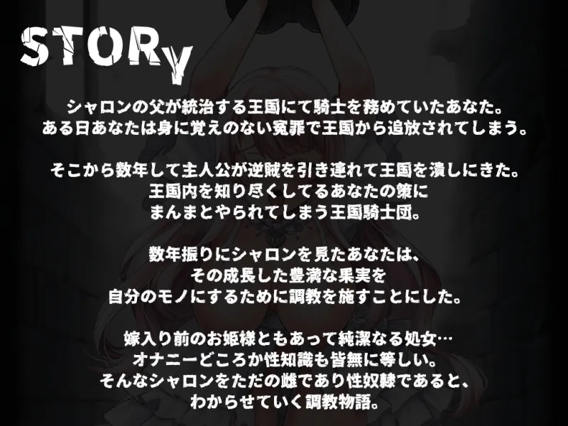 【期間限定220円】メス顔で完堕ち敗北する気高きお姫様 ～陵辱レイプで従順な雌奴隷となる～