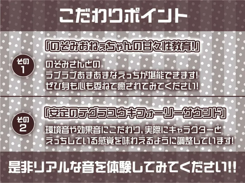 おねぇちゃんJKのぞみさんの耳元囁き深イキえっち【フォーリーサウンド】