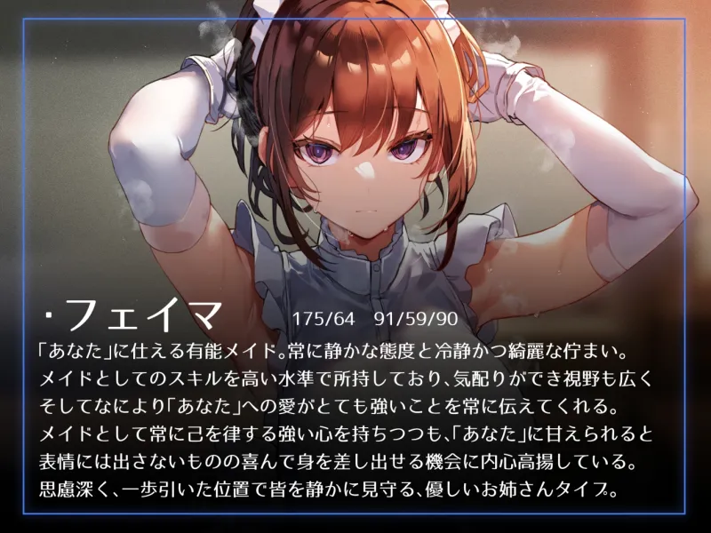 本文説明画像