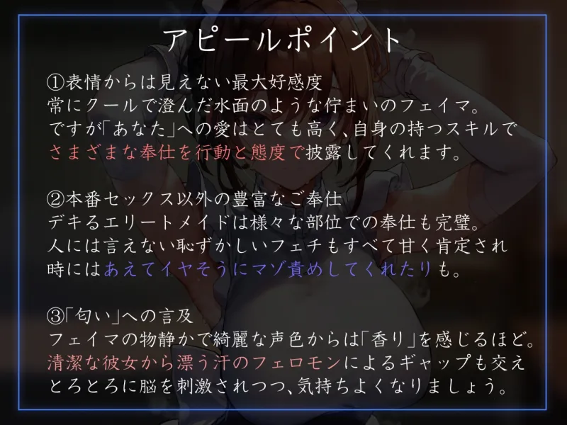 本文説明画像