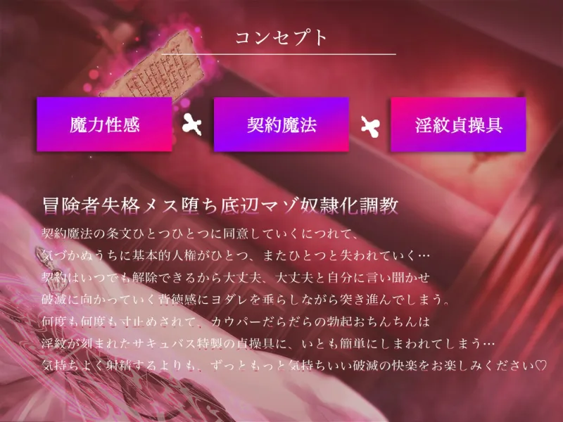 本文説明画像