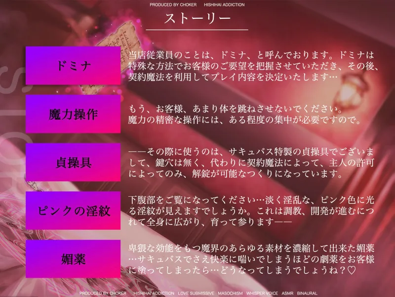 本文説明画像