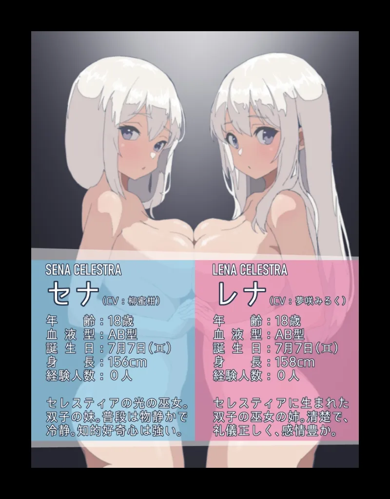 本文説明画像