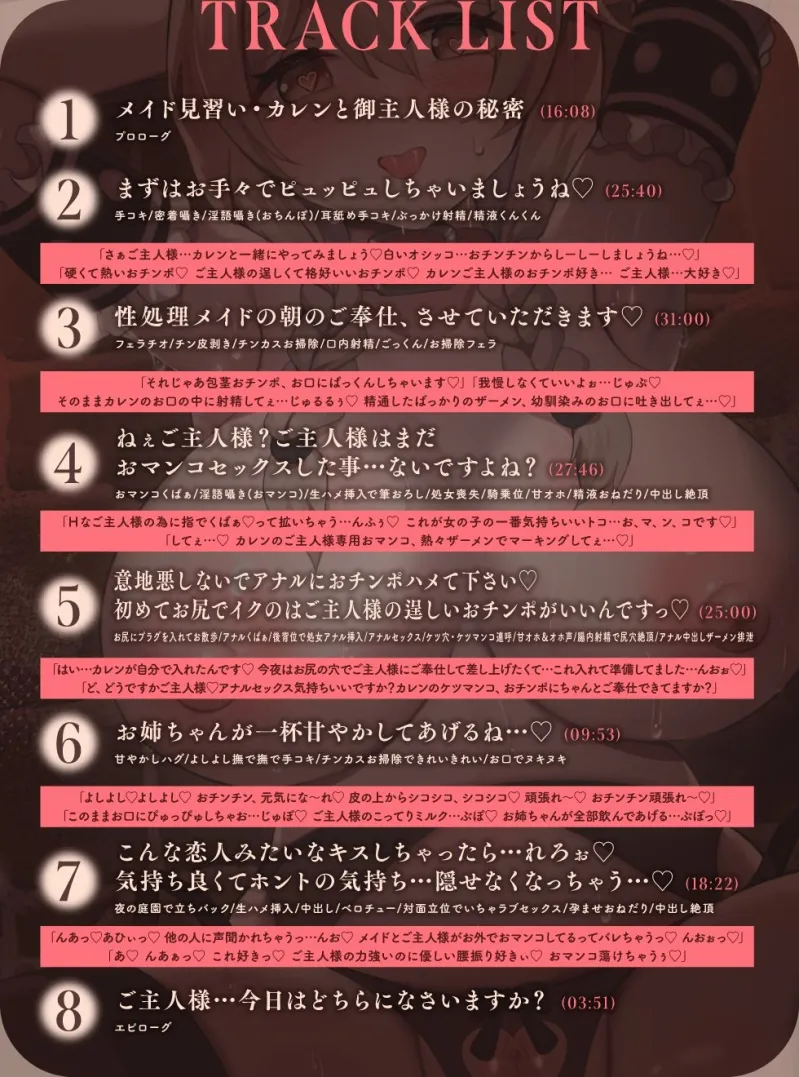 本文説明画像