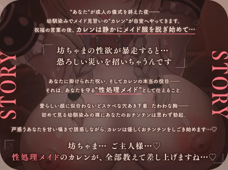 本文説明画像