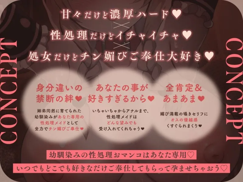 本文説明画像