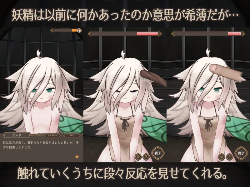 本文説明画像