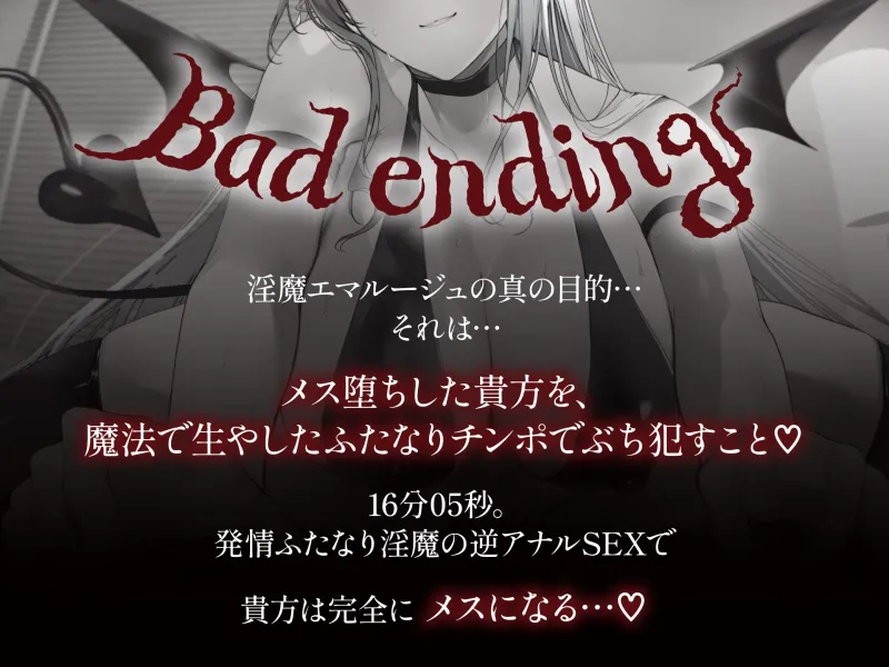 本文説明画像