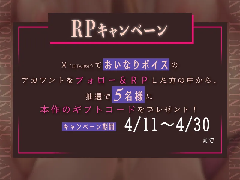 本文説明画像