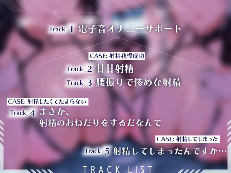 本文説明画像