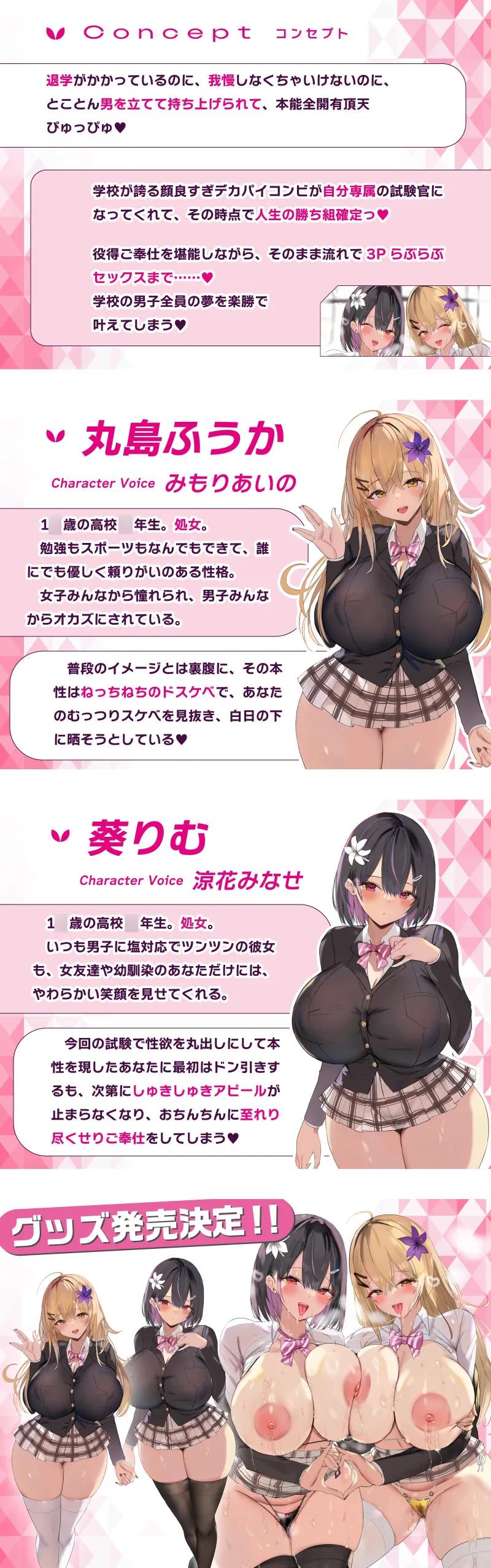 本文説明画像