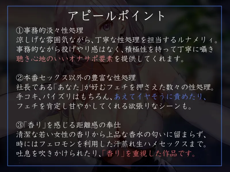 本文説明画像