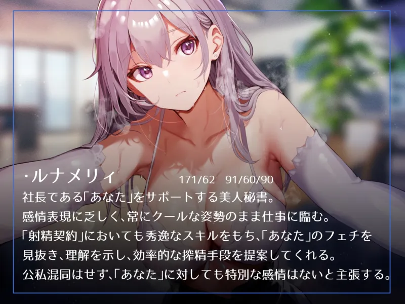 本文説明画像
