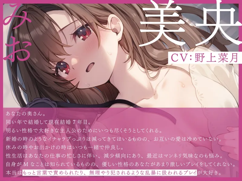 本文説明画像