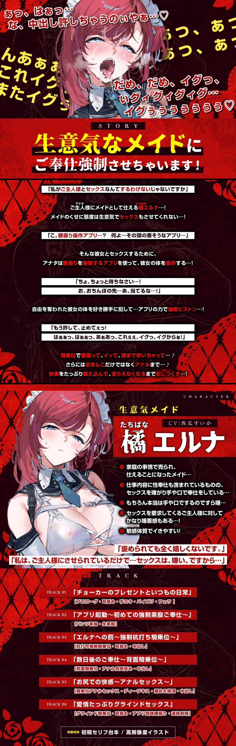 本文説明画像