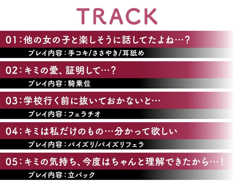 本文説明画像