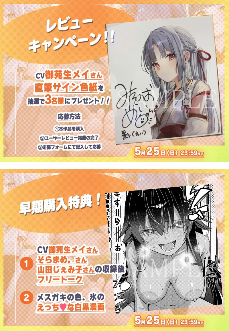 本文説明画像