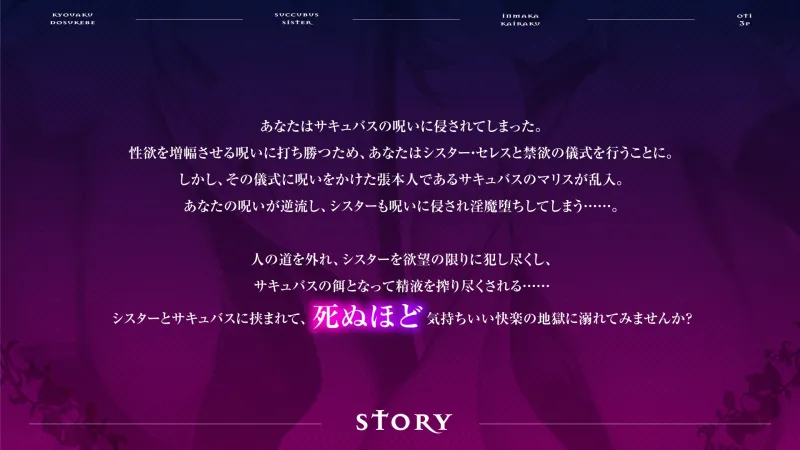本文説明画像