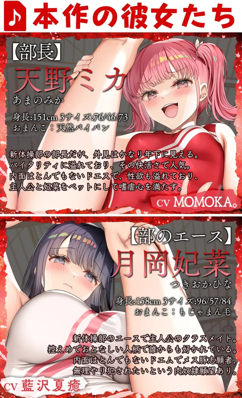 本文説明画像