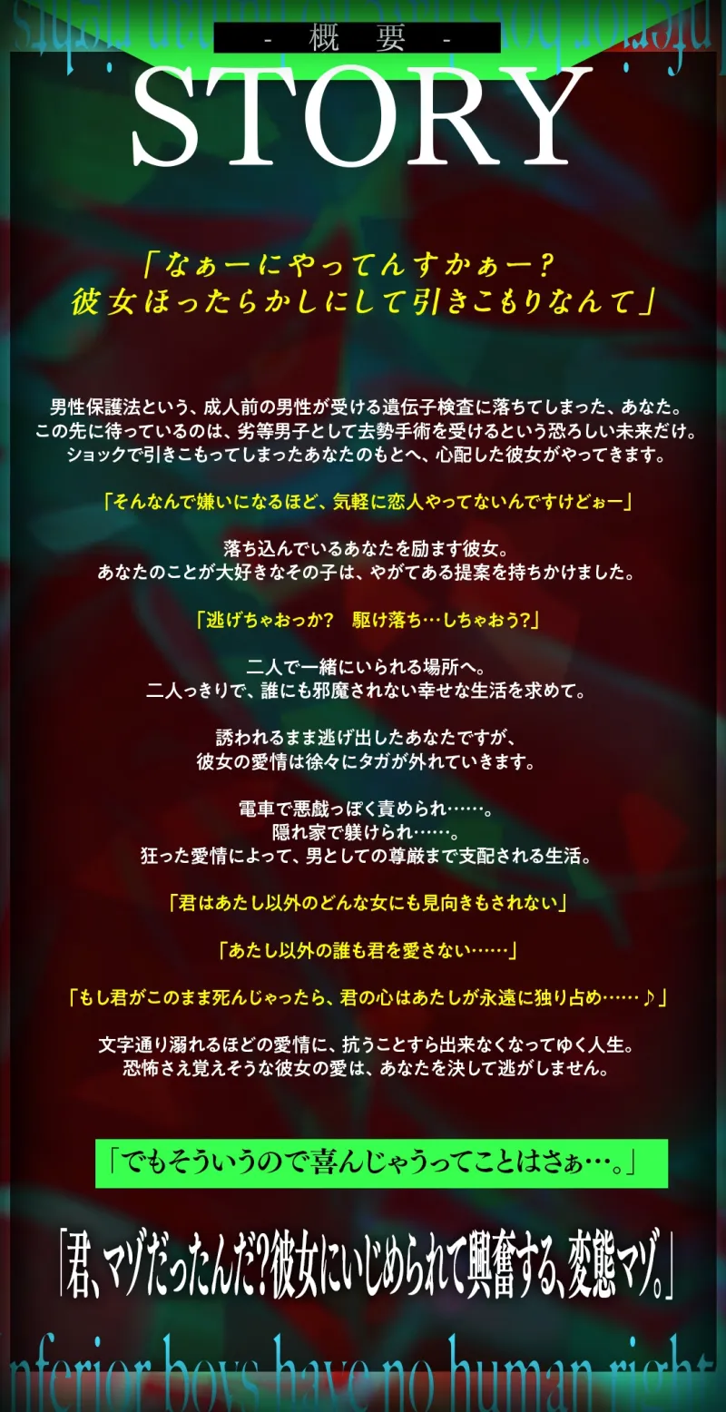 本文説明画像