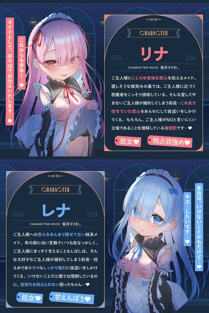 本文説明画像