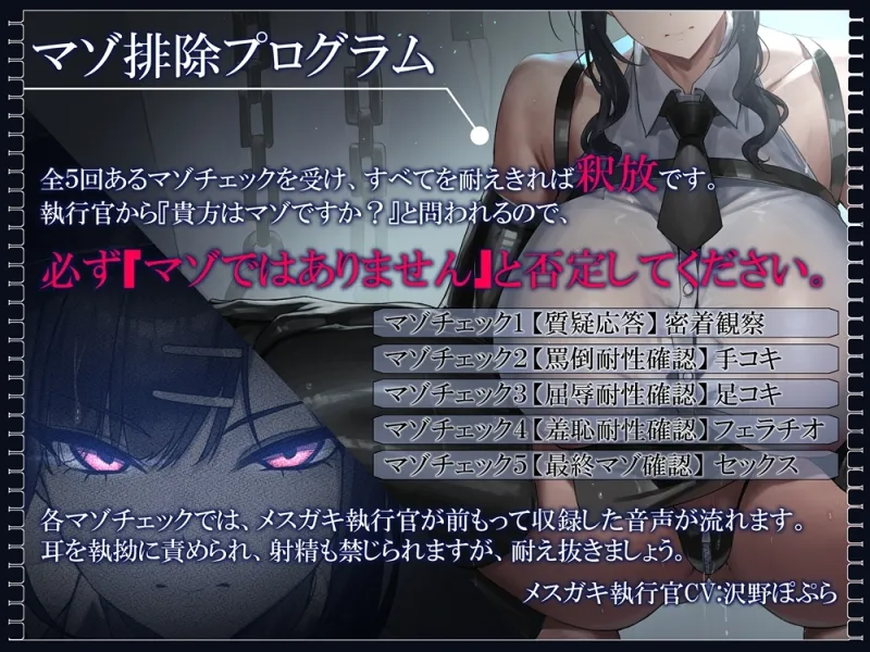 本文説明画像