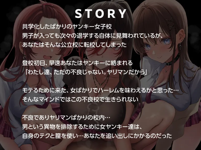 本文説明画像