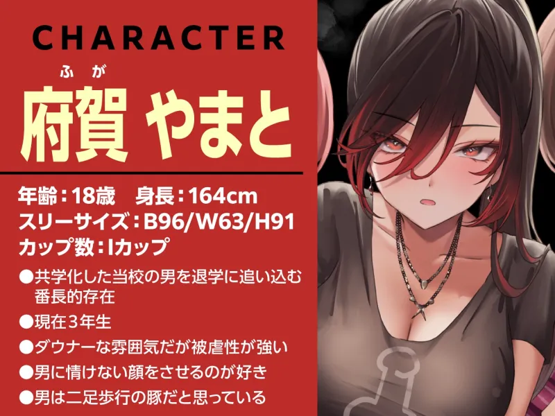 本文説明画像