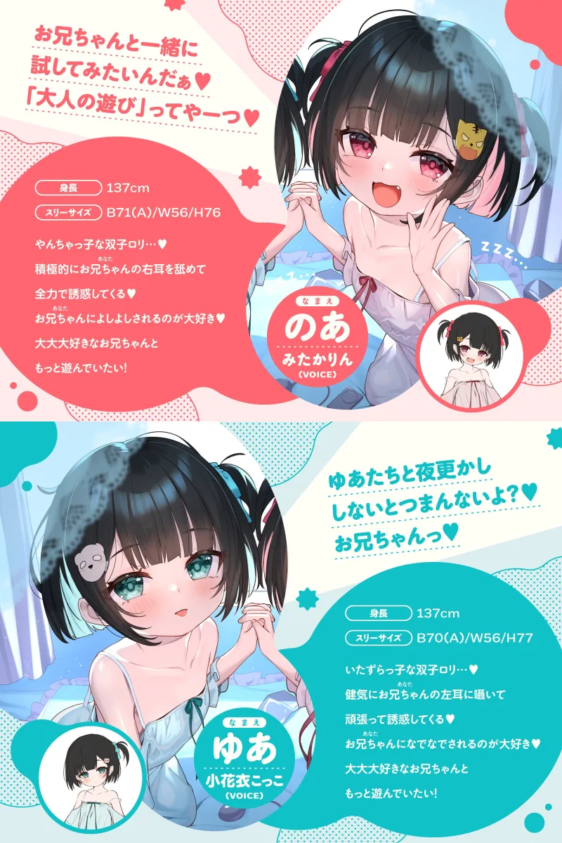 本文説明画像