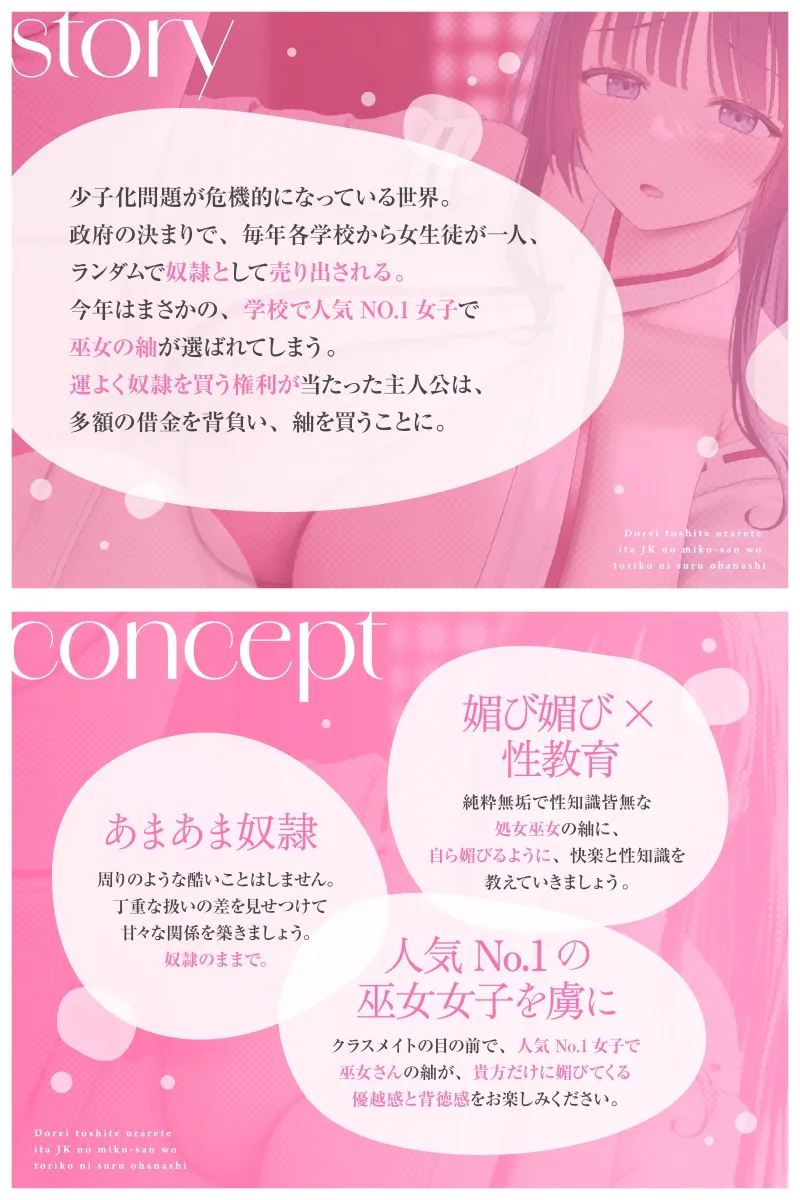本文説明画像