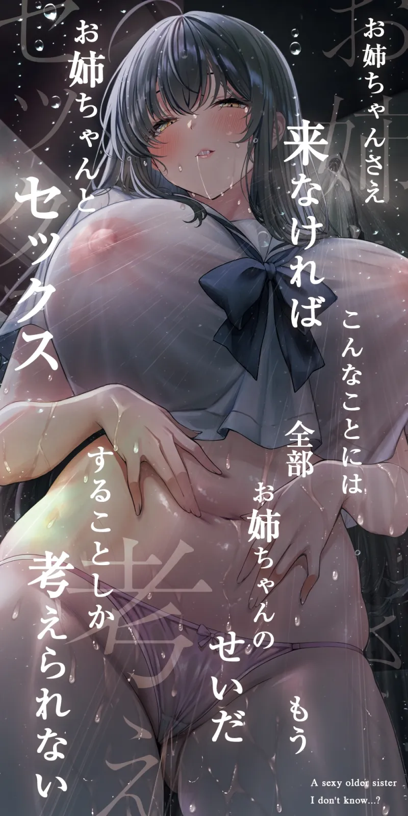 本文説明画像