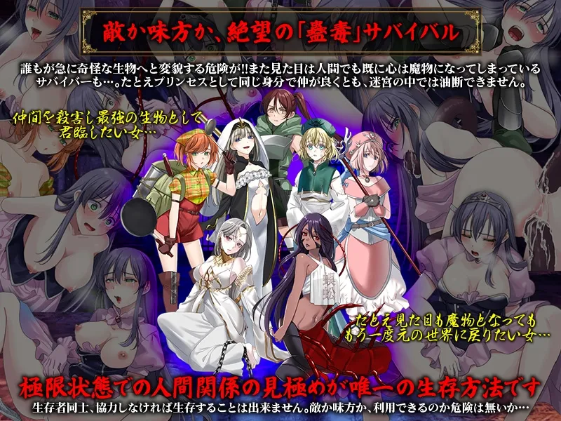 本文説明画像