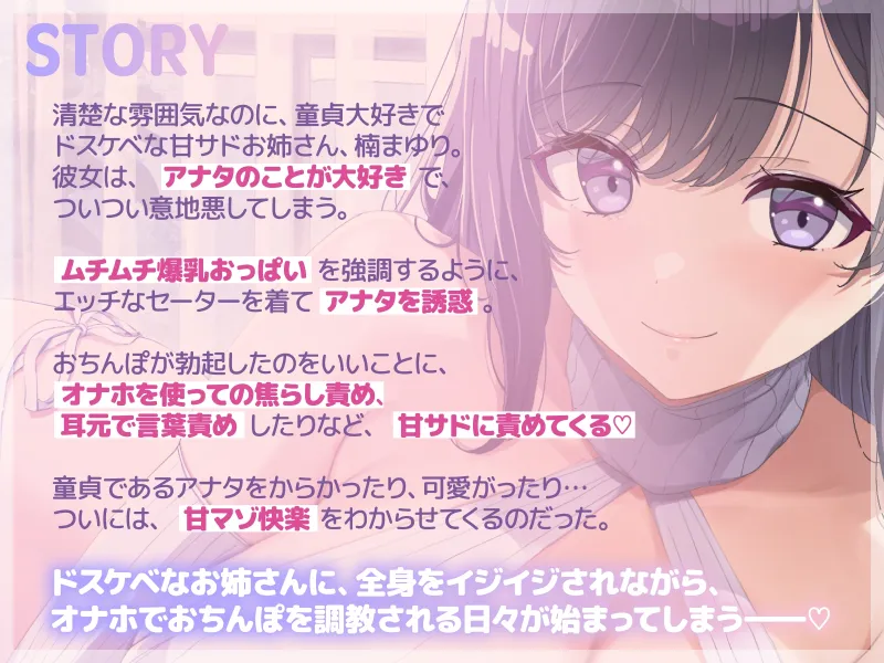本文説明画像