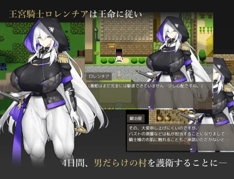 王宮騎士のリスクヘッジ