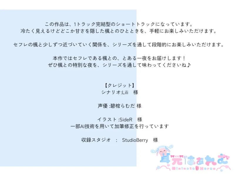 本文説明画像
