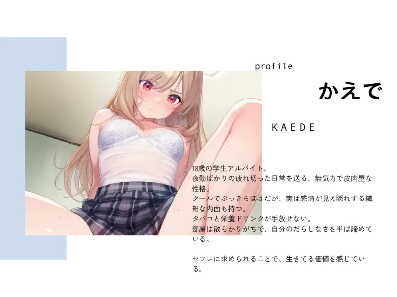 本文説明画像