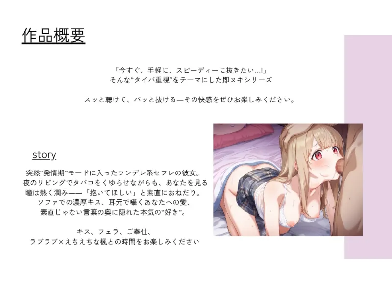 本文説明画像