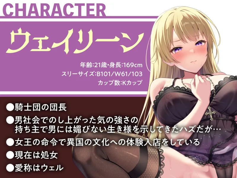 本文説明画像