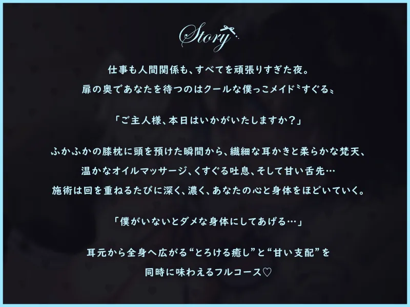 本文説明画像
