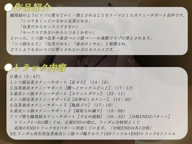 本文説明画像