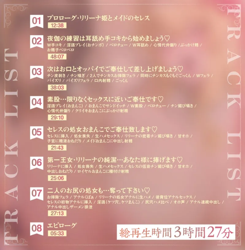 本文説明画像