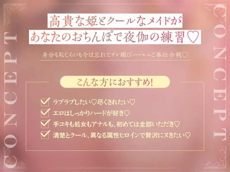 本文説明画像