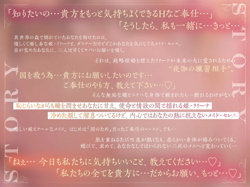 本文説明画像
