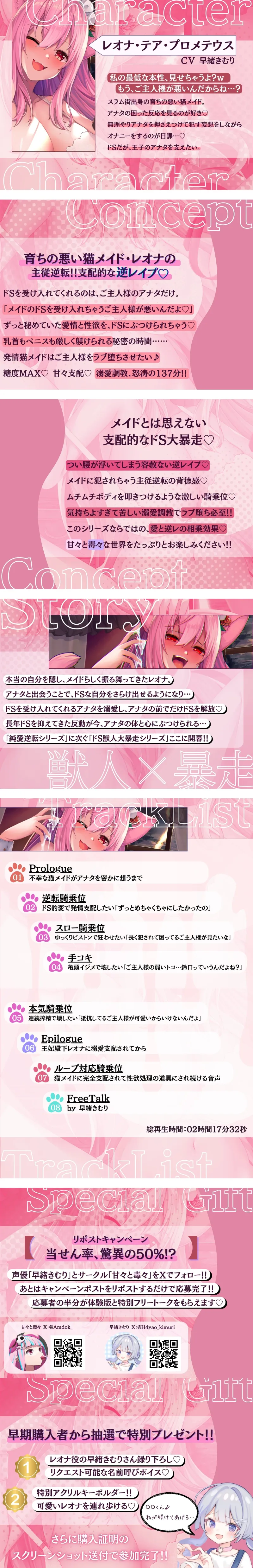 本文説明画像