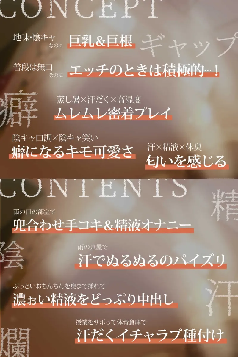 本文説明画像