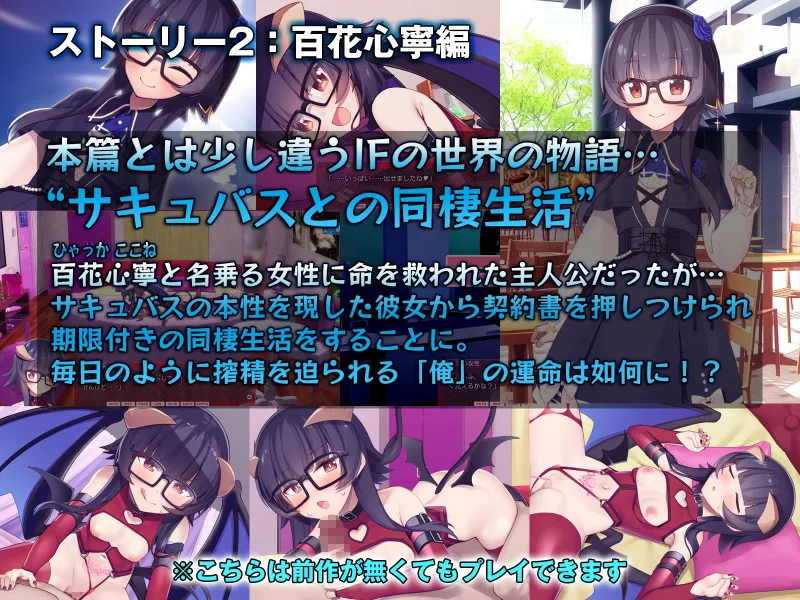 本文説明画像